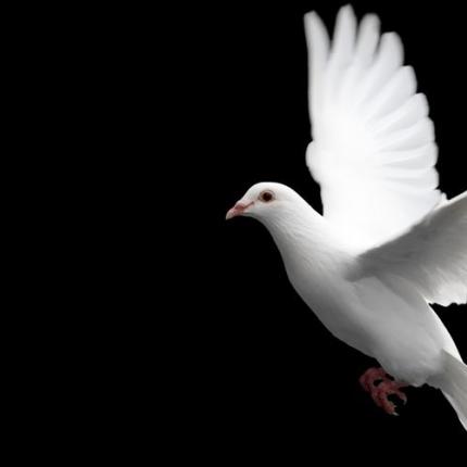 Σε όλο τον πλανήτη, μόνο 11 χώρες έχουν απόλυτη Ειρήνη