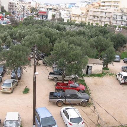 Οικολογική Κίνηση Μιραμβέλλου: Ο Ελαιώνας να γίνει πάρκο