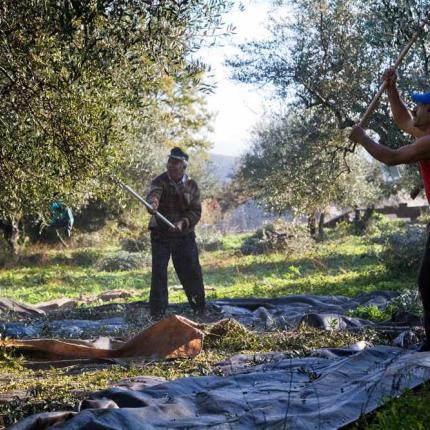 Προειδοποίηση των αγροτών από την Αθήνα για τα λογιστικά βιβλία