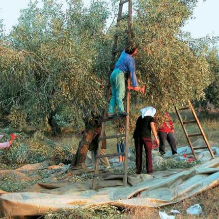 Οι κερδισμένοι και οι χαμένοι της νέας ΚΑΠ