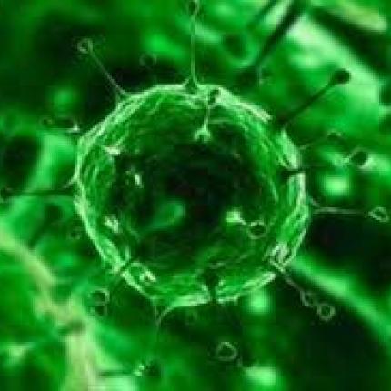 Κέντρο υποδοχής πιθανών κρουσμάτων 'Εμπολα το ΠΑΓΝΗ, για όλη την Κρήτη