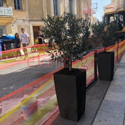 οδός εβανς