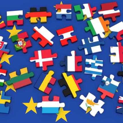erasmus_2.jpg
