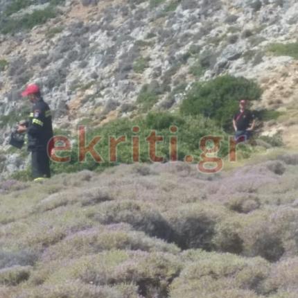 ερευνες