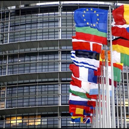 Η αγωνία για την καταστροφή των χημικών στο Ευρωκοινοβούλιο