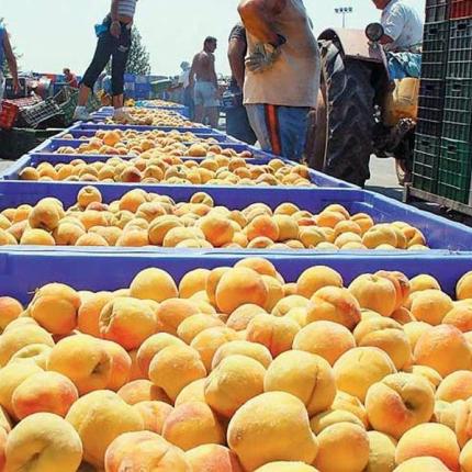 Συνεργασία ΣΕΒ και ΥΠΕΞ για την προώθηση των εξαγωγών