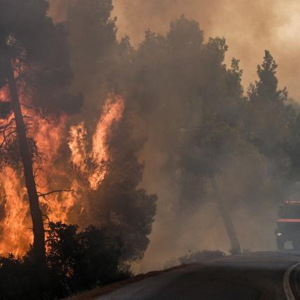 εύβοια φωτιά
