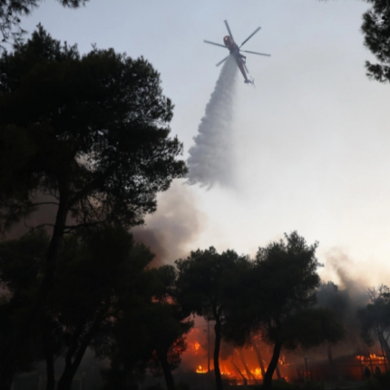 εύβοια φωτιά