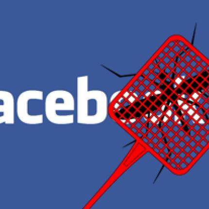 facebook-bug.jpg