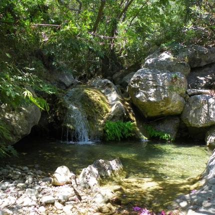 φαράγγι πεύκων