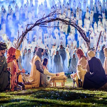 Η μεγαλύτερη "αληθινή" φάτνη του κόσμου!