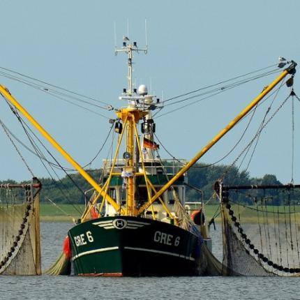 fishing-boat-2645137_960_720.jpg