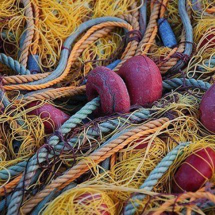 Ημερίδα για τις αλιευτικές δραστηριότητες στα Χανιά