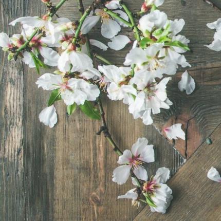 flat-lay-of-spring-easter-table-setting-with-p96gfa2.jpg