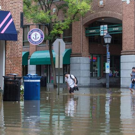 τυφώνας φλόρενς