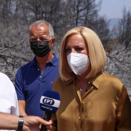 Φώφη Γεννηματά από Βαρυμπόμπη