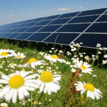 Μαν. Γλέζος: Να ξεριζώσουμε τα "σιδερένια φυτά" της Μέρκελ από τη γη μας