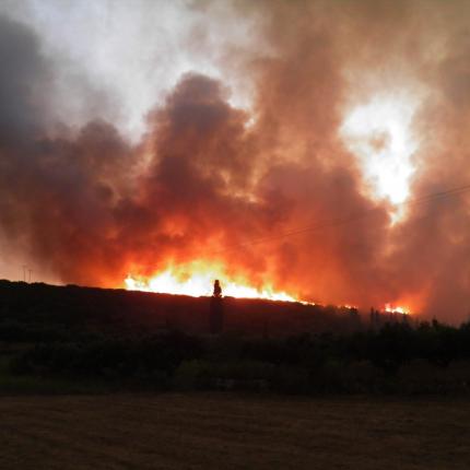 fotia_kythira.jpg