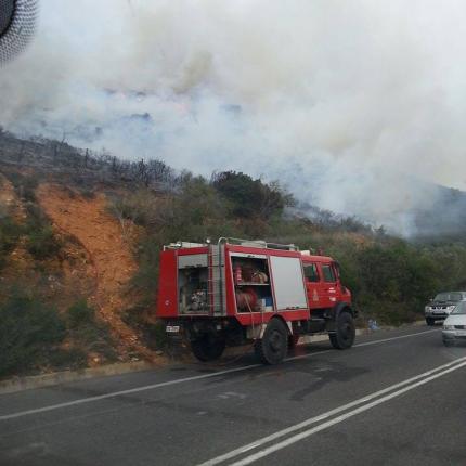 fotia_panormo_5.jpg