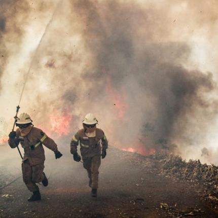 φωτιά πορτογαλίας