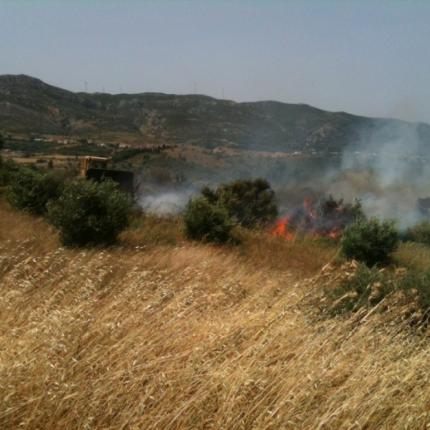 15 στρέμματα έγιναν στάχτη από τη φωτιά στον Προφήτη Ηλία