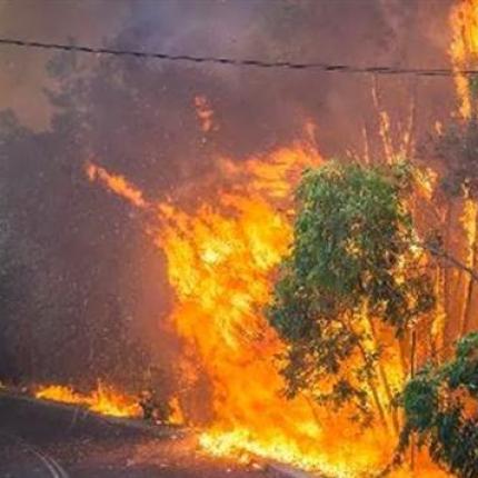 Πυρκαγιές και πυκνοί καπνοί στη Μελβούρνη
