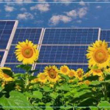 Επεισόδια στη διαμαρτυρία για τα φωτοβολταϊκά στην Αθήνα