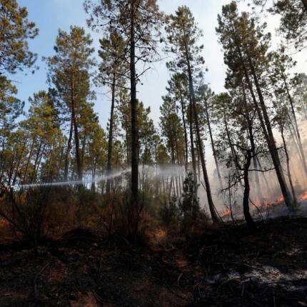 france_fires_2_reuters_18_08_2021-scaled.jpg