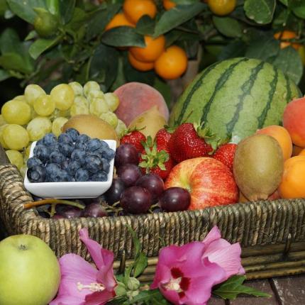 fruit-1.jpg
