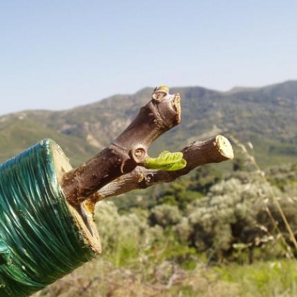 Διεθνές Συνέδριο στο Ηράκλειο από το Πολυτεχνείο και το ΤΕΙ Κρήτης