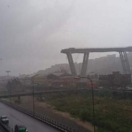 genova3-708.jpg