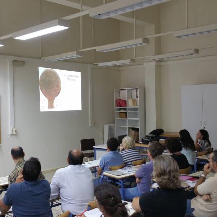 γραμμικη βραφη β 1.jpg