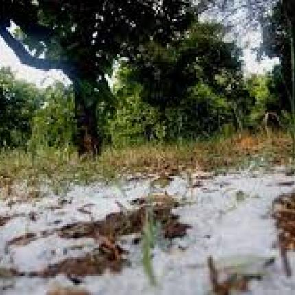 Χαλάζι σε... παραλία! (βίντεο)