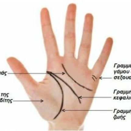 hand1.jpg