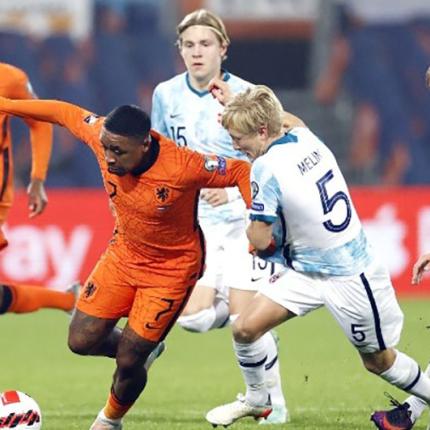 holland.jpg