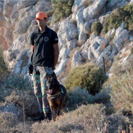 δηλητηριασμένα δολώματα