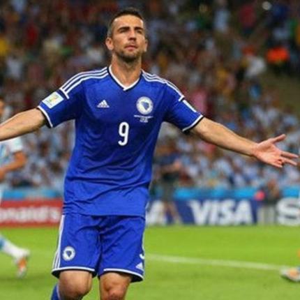 ibisevic.jpg