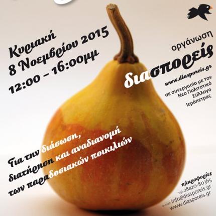 ιεραπετρα αφισα.jpg