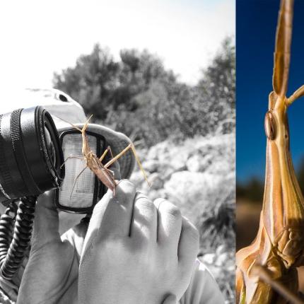 μουσειο φυσικης ιστοριας