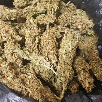 κάνναβη ηράκλειο