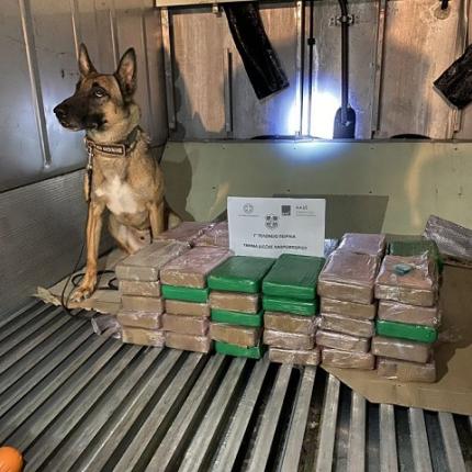 ΑΑΔΕ : Εντοπισμός μεγάλου φορτίου κοκαΐνης σε κοντέινερ με μπανάνες