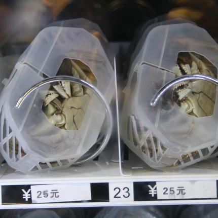 Αυτόματοι πωλητές ζωντανών… καβουριών