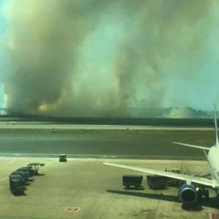 incendio_fiumicino_5-2.jpg