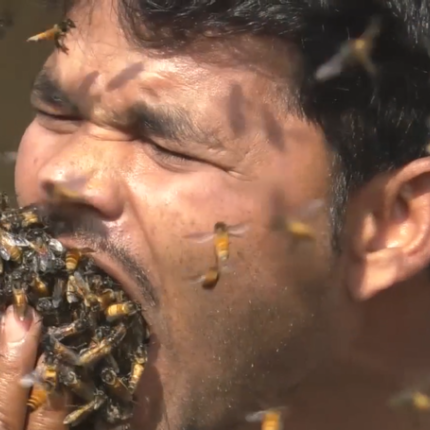 indian.png