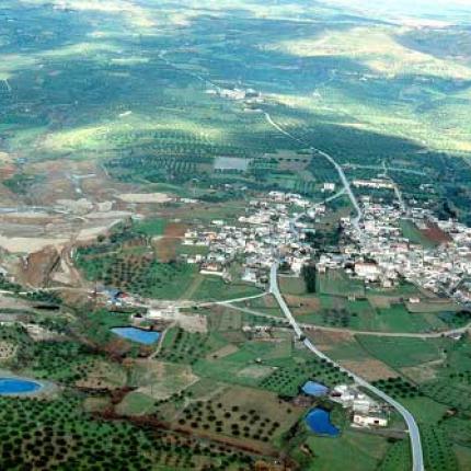 Δηλώσεις για τον αναδασμό στο Ίνι δήμου Μινώα