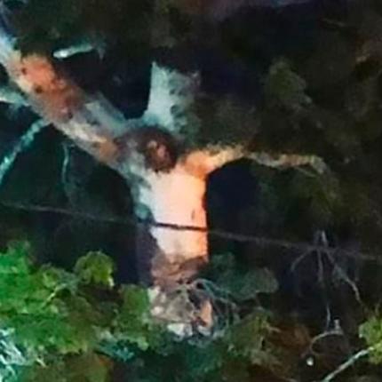 δέντρο Ιησούς