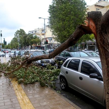 Έσπασε κλαδί δέντρου και έπεσε στο οδόστρωμα στη λ. Δημοκρατίας