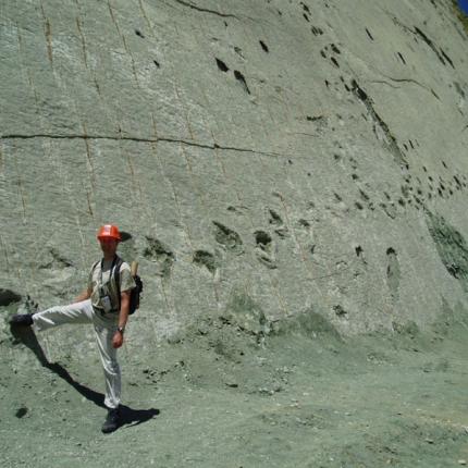 Πάνω από 5000 πατημασιές δεινοσαύρων σε βράχο ύψους 100 μέτρων.
