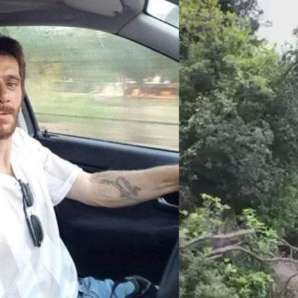 Το τερας του καβου