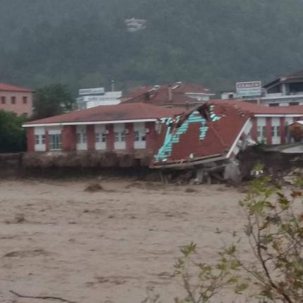 ιανός καρδίτσα